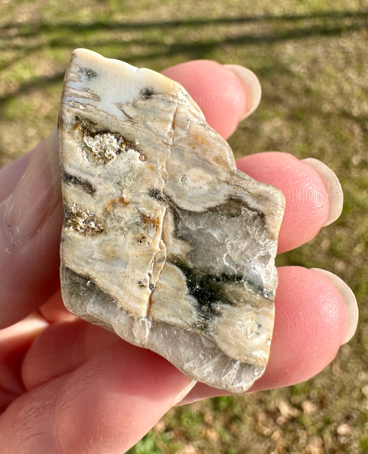 6th Vein Ocean Jasper Polished Freeform #15