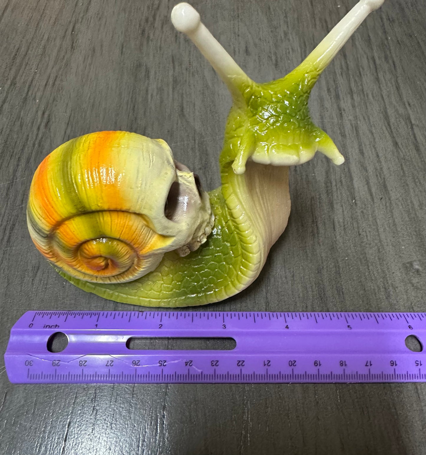 Green & Yellow Orange Snail with Skull