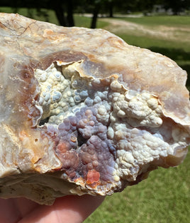 Savannah River Agate Specimen #37 Purple/Pastels