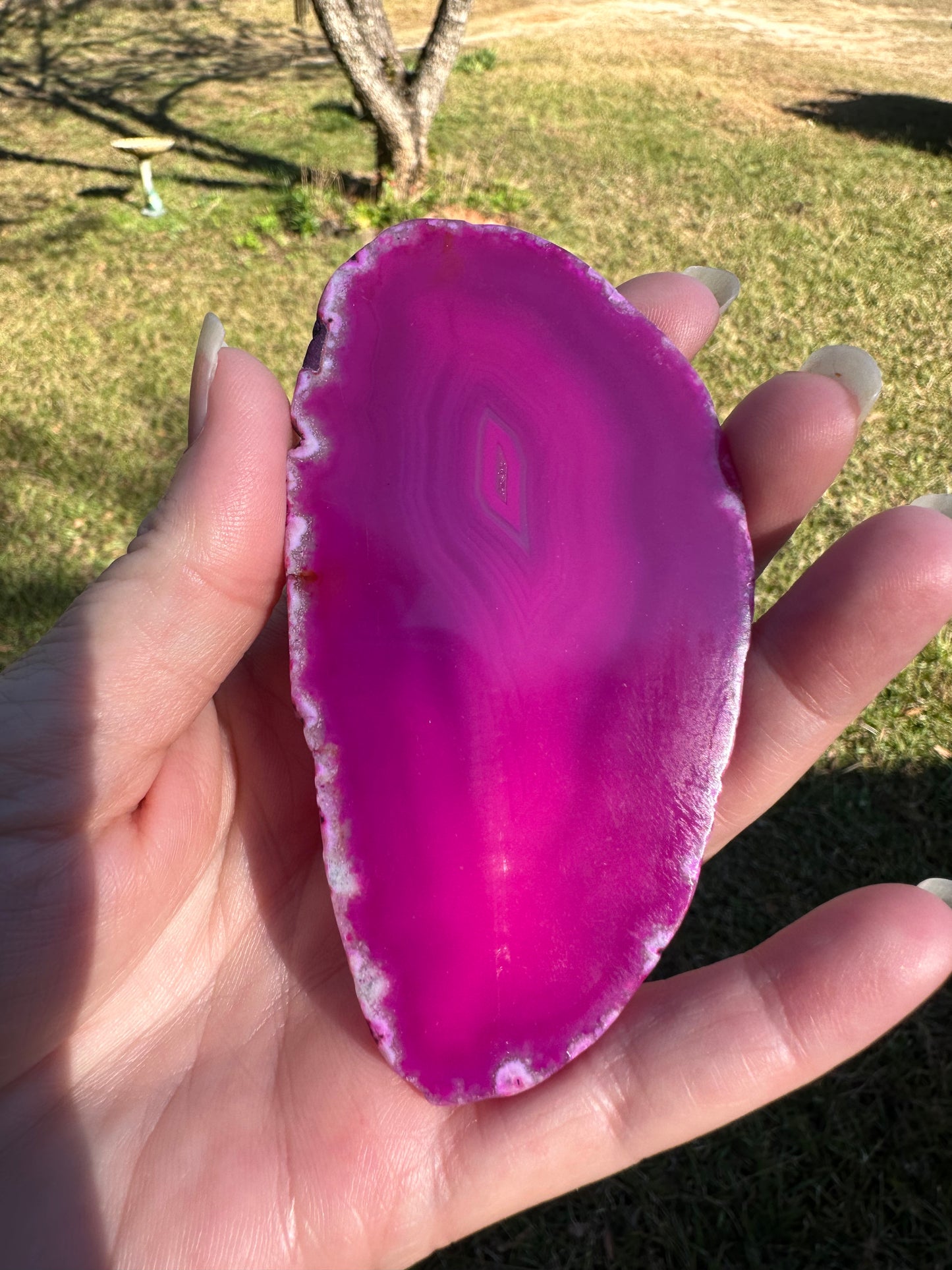 Pink Agate Slice #11