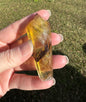 Fluorite Scepter #12 with Rainbows