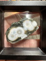 6th Vein Ocean Jasper Polished Freeform with Case