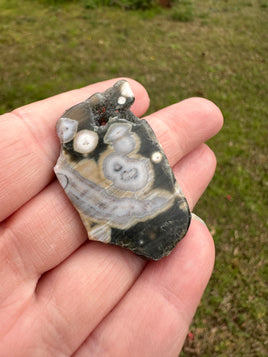 6th Vein Ocean Jasper Polished Freeform #44