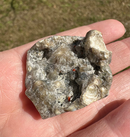 6th Vein Ocean Jasper Polished Freeform #22