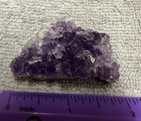 Amethyst Cluster Specimen #19