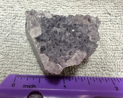 Amethyst Cluster Specimen #20