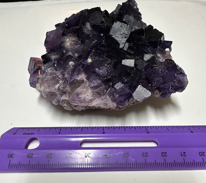 Dark Purple Fluorite Specimen – Melchor Muzquiz, Coahuila, Mexico