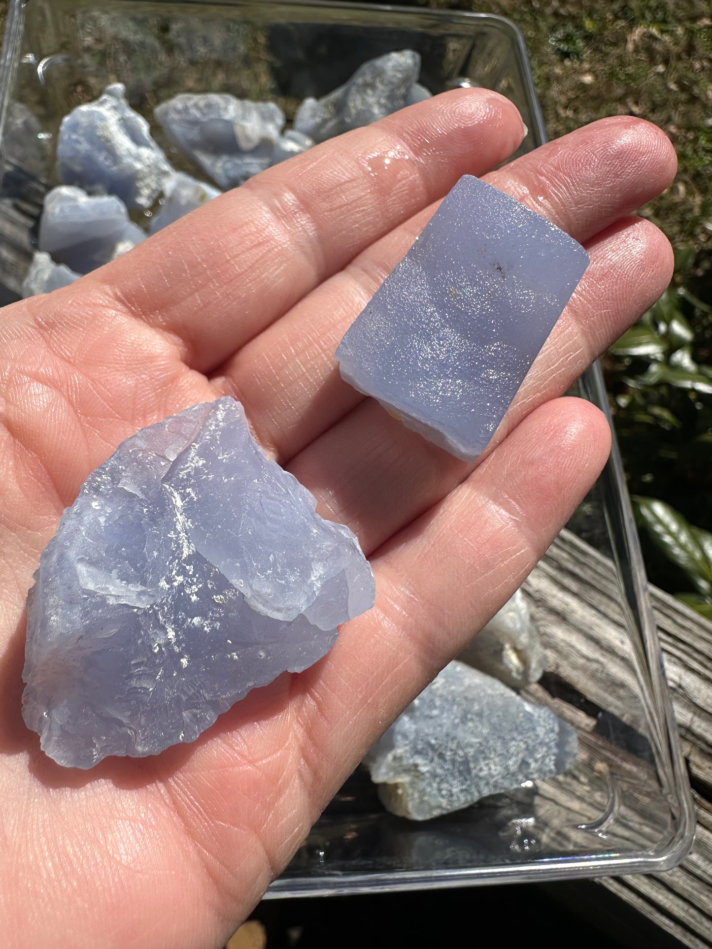 Blue Lace Agate Raw/Rough