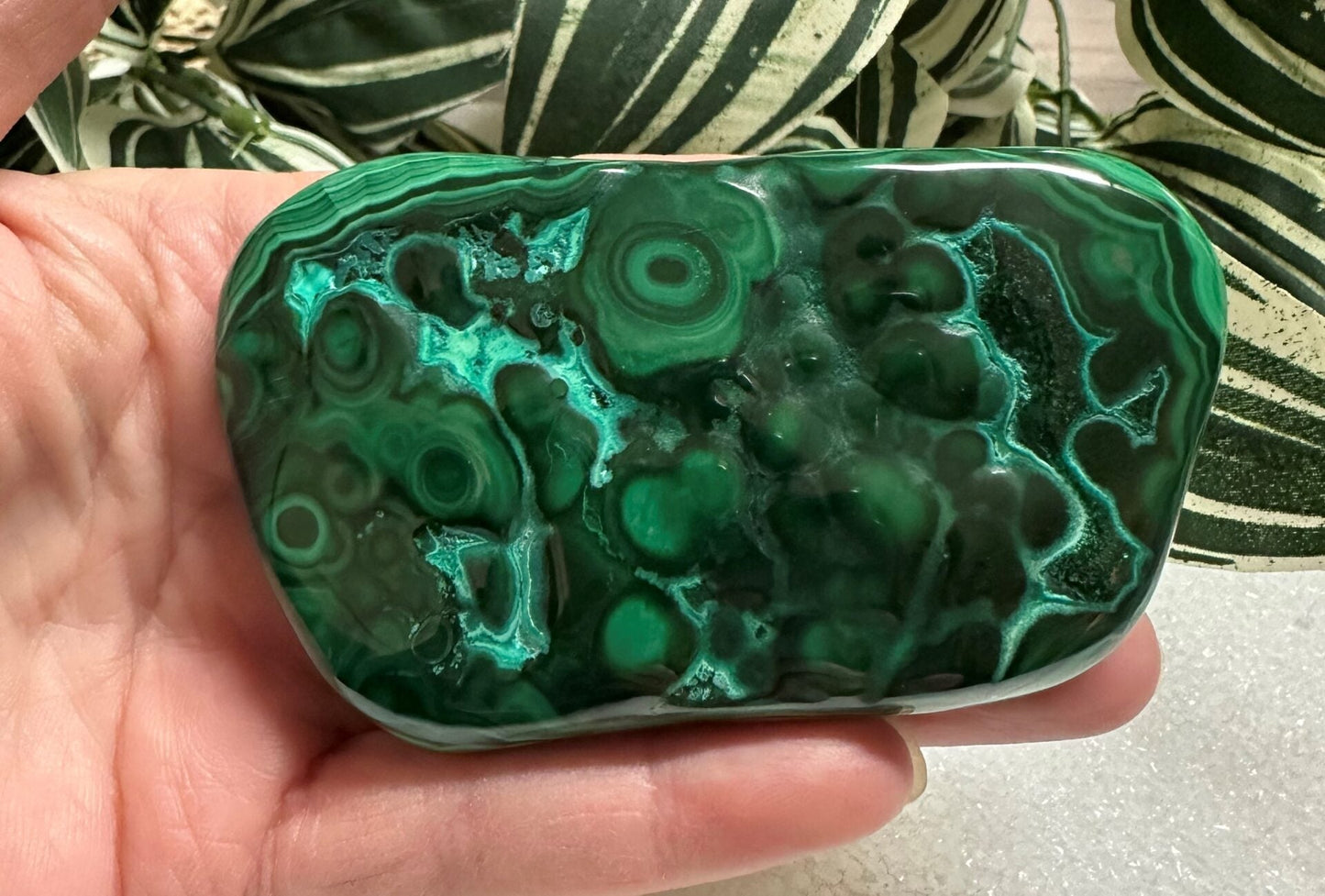 Polished Malachite Freeform #5 Zaire, Africa