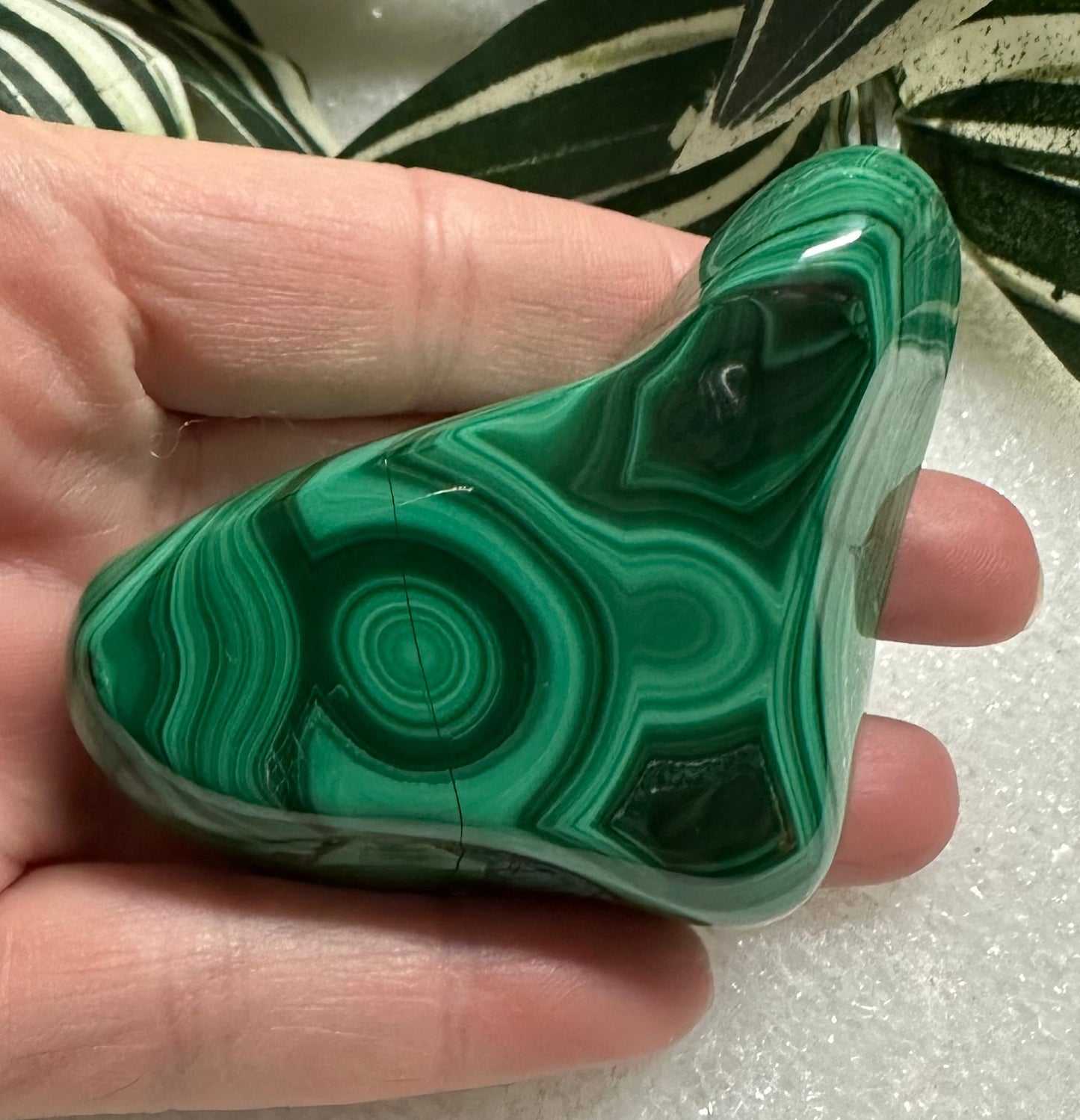 Polished Malachite Freeform #7 Zaire, Africa