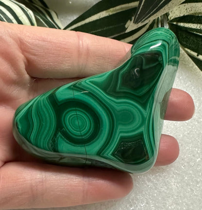 Polished Malachite Freeform #7 Zaire, Africa