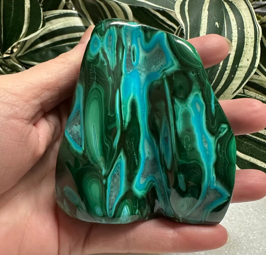 Polished Malachite, Chrysocolla Freeform #9 Zaire, Africa