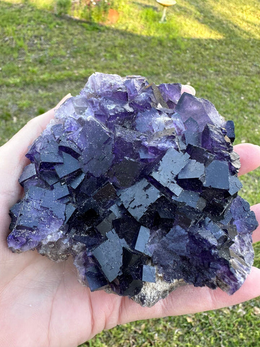 Dark Purple Fluorite Specimen – Melchor Muzquiz, Coahuila, Mexico