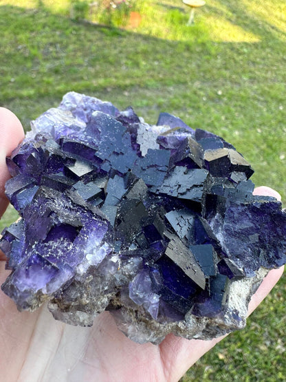 Dark Purple Fluorite Specimen – Melchor Muzquiz, Coahuila, Mexico