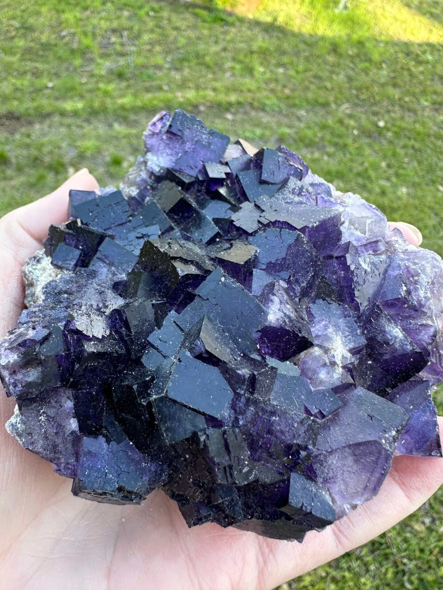 Dark Purple Fluorite Specimen – Melchor Muzquiz, Coahuila, Mexico