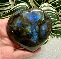 Extra Large Labradorite Heart #16