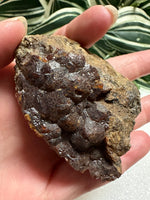 Andradite Garnet, Zacatecas, Mexico #9