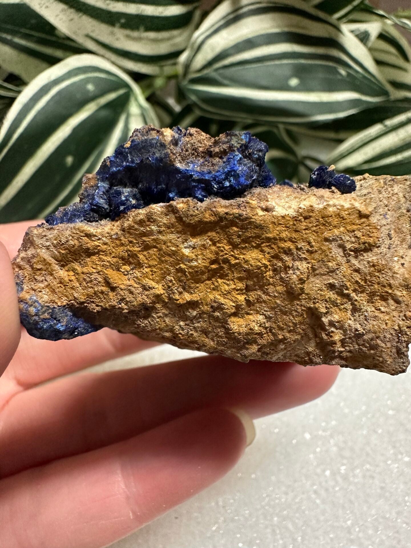 Azurite Specimen #1 Sierra Rica Chihuahua, Mexico