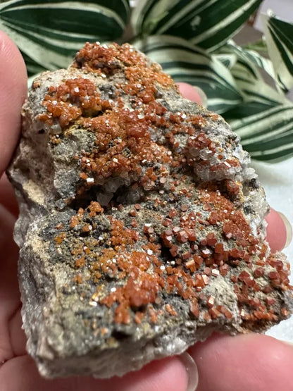 Vanadinite, Apex, Santa Eulalia, Chihuahua, Mexico