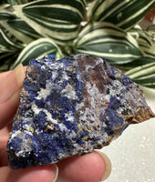 Azurite Specimen #2 Sierra Rica Chihuahua, Mexico