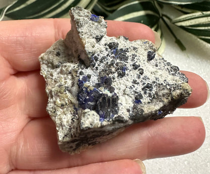 Azurite Specimen #3 Morenci, Az