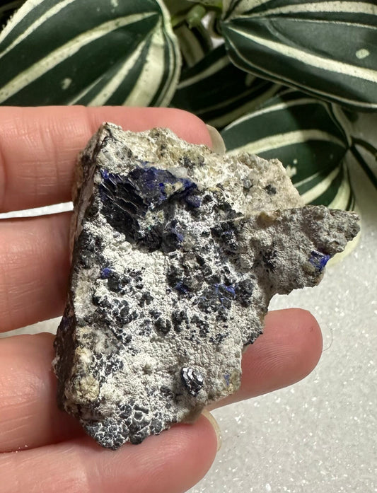 Azurite Specimen #3 Morenci, Az