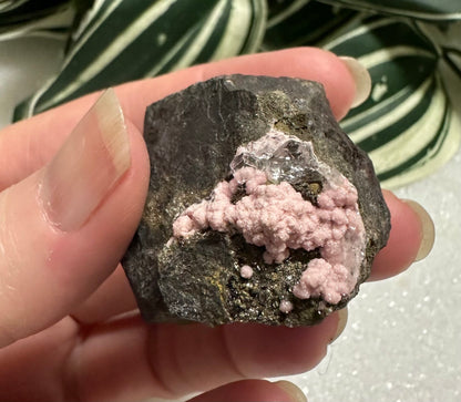 Rhodochrosite, Quartz, Pyrite, Santa Eulalia – Chihuahua, Mexico #6