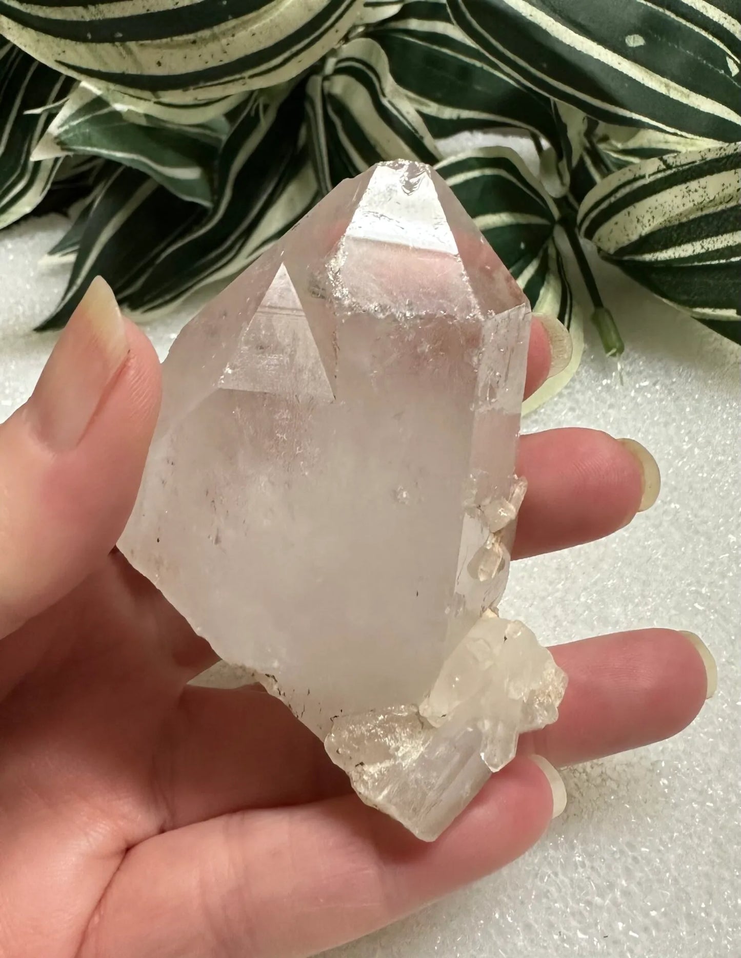 Quartz Crystal Mount Ida, Montgomery Co. AR