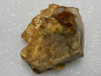 Savannah River Agate Specimen #27