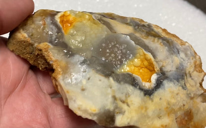 Savannah River Agate Specimen #29