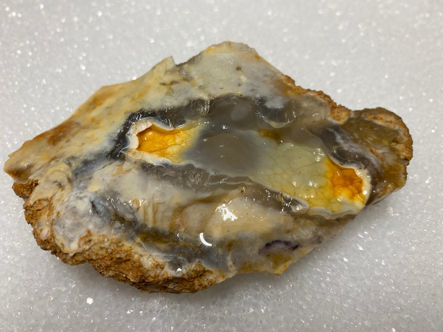 Savannah River Agate Specimen #29