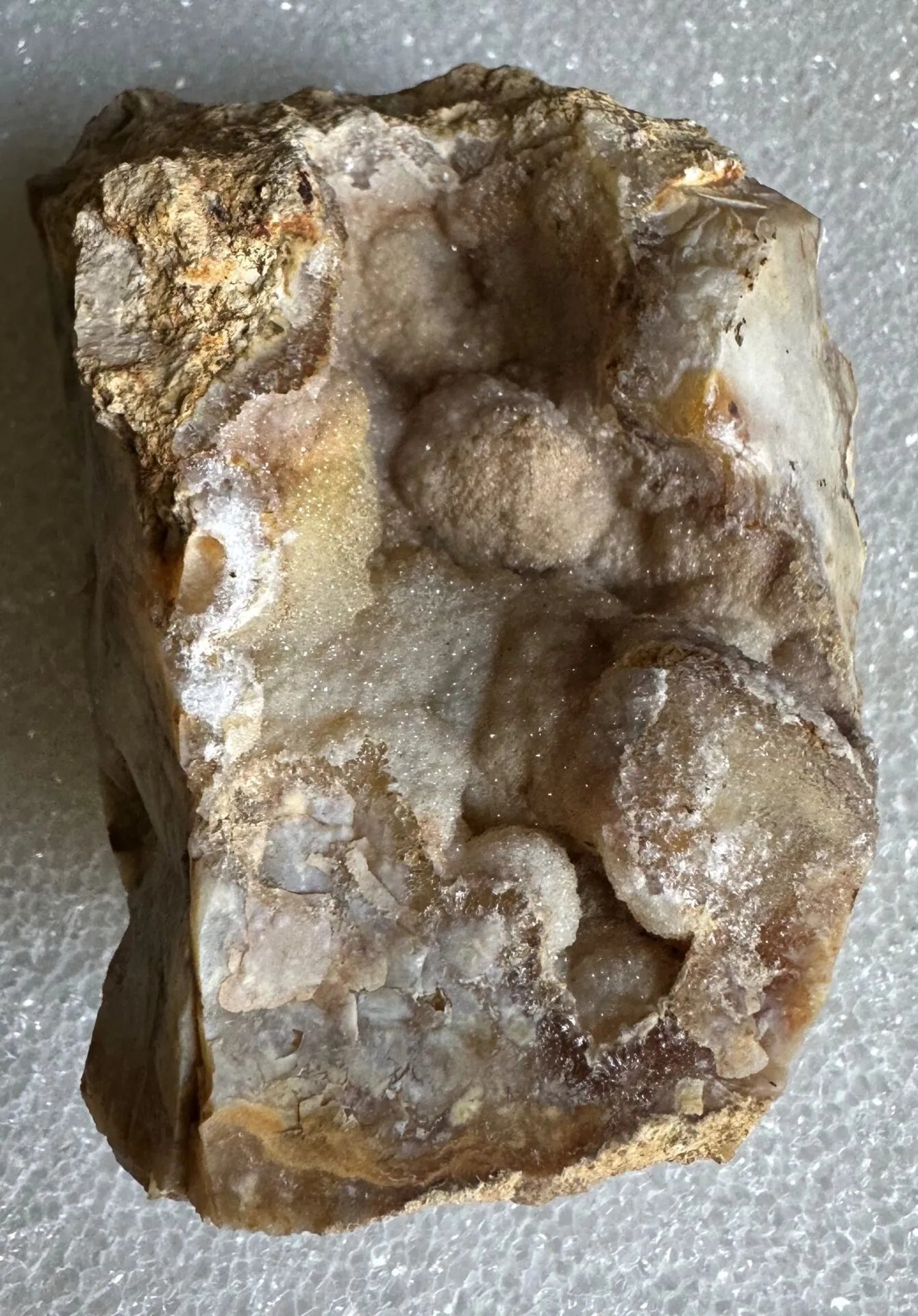 Savannah River Agate Specimen #38