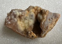 Savannah River Agate Specimen #39