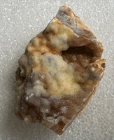 Savannah River Agate Specimen #39