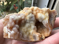 Savannah River Agate Specimen #39