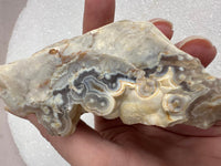 Savannah River Agate Specimen #44