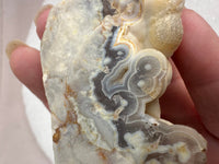 Savannah River Agate Specimen #44