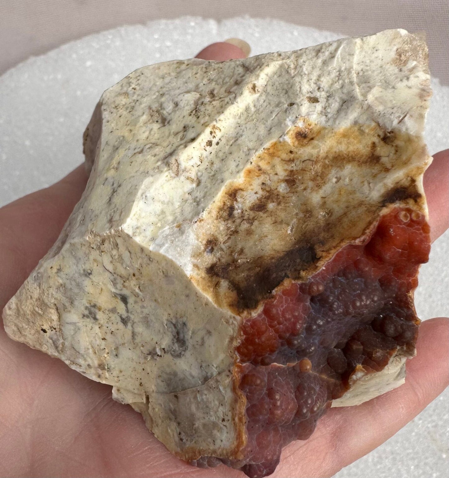 Savannah River Agate Specimen #45