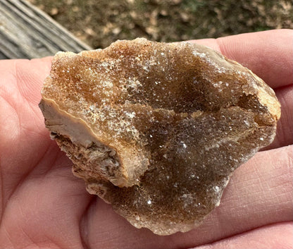 Savannah River Agate Specimen #47