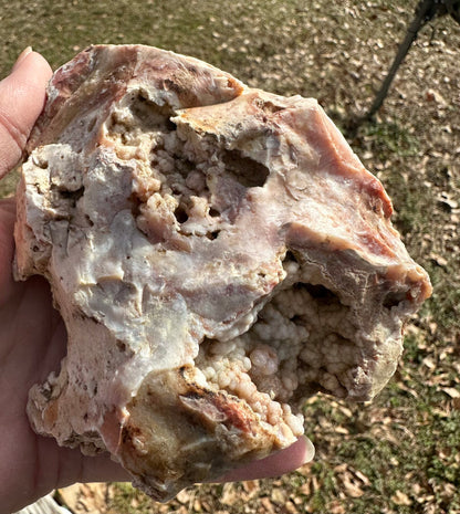 Savannah River Agate Specimen #50 Pastels