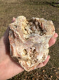 Savannah River Agate Specimen #50 Pastels