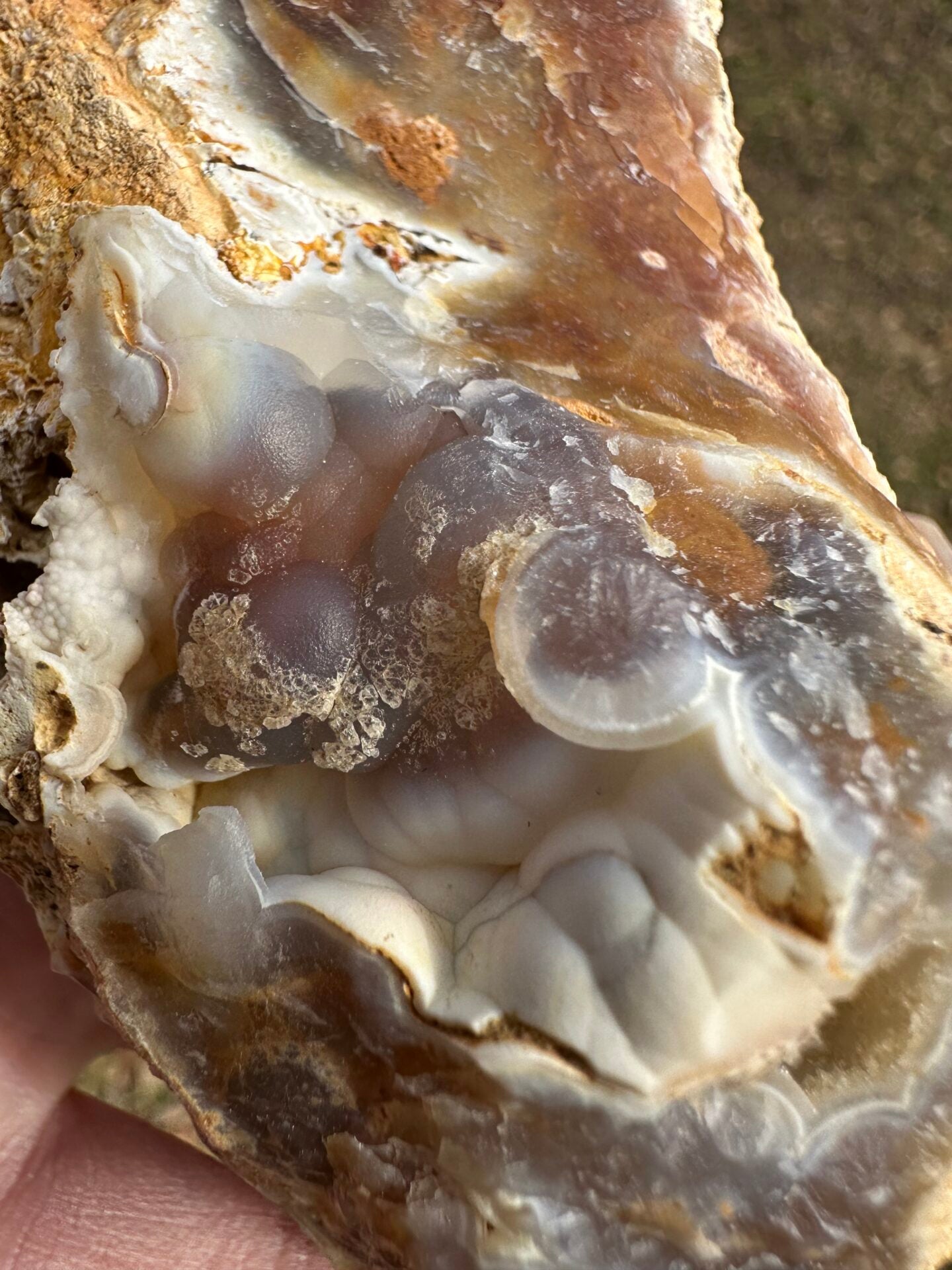 Savannah River Agate Specimen #51