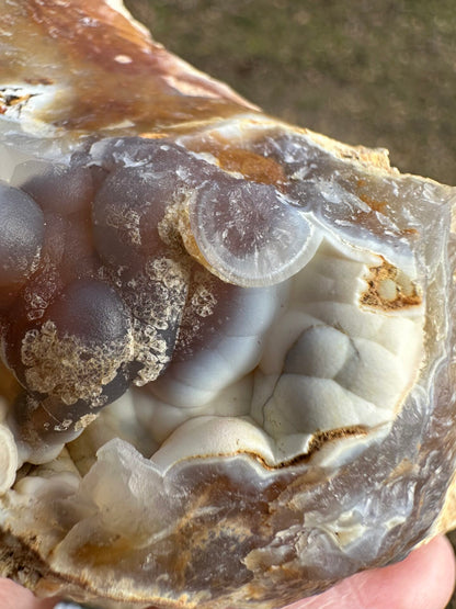 Savannah River Agate Specimen #51