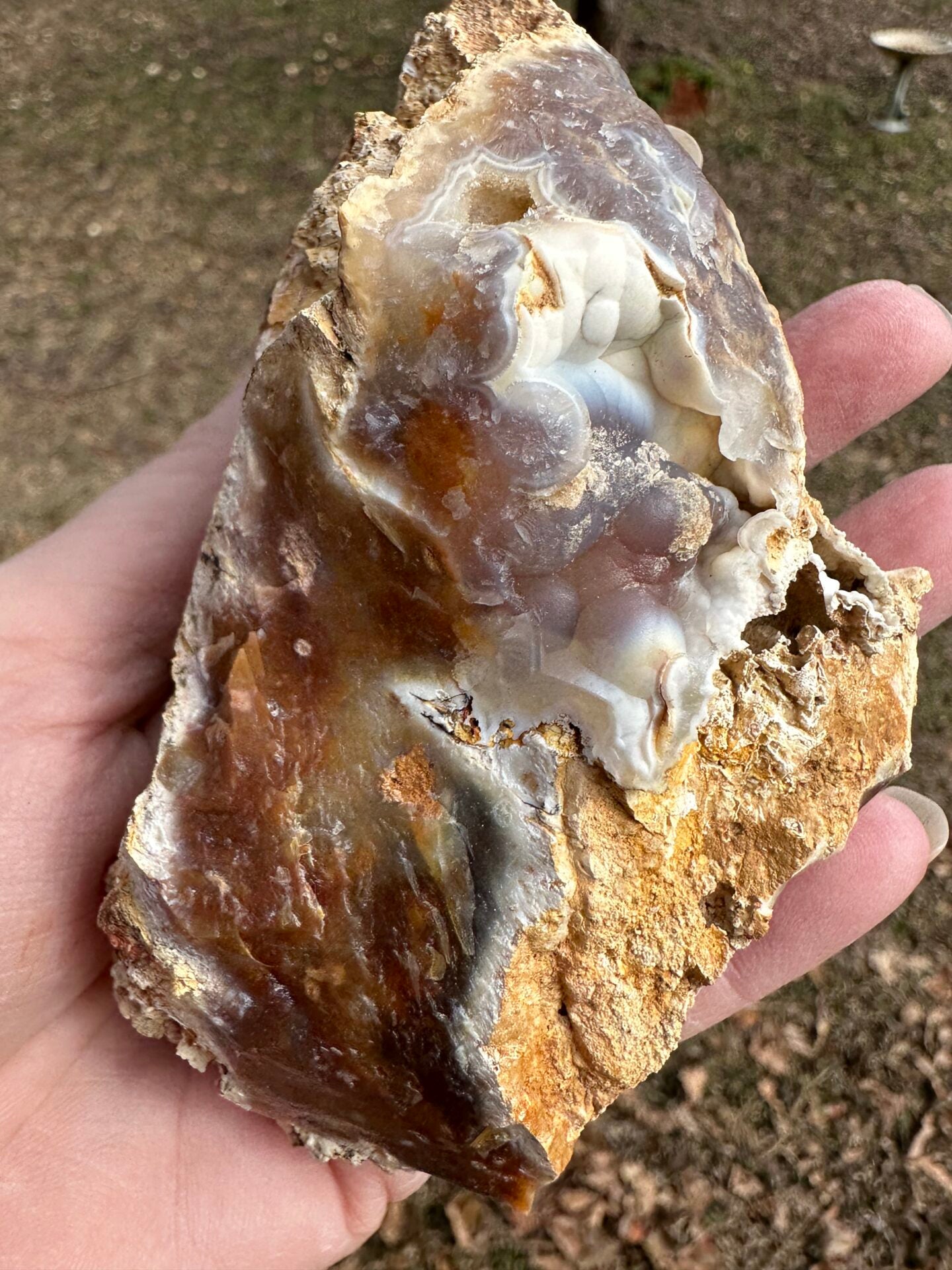 Savannah River Agate Specimen #51