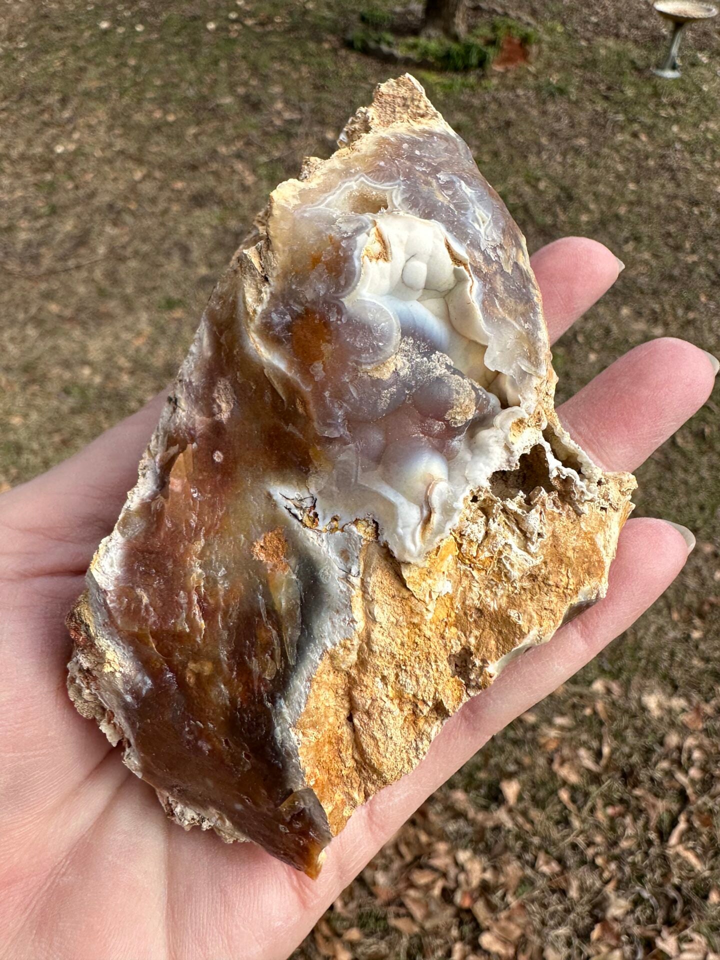 Savannah River Agate Specimen #51