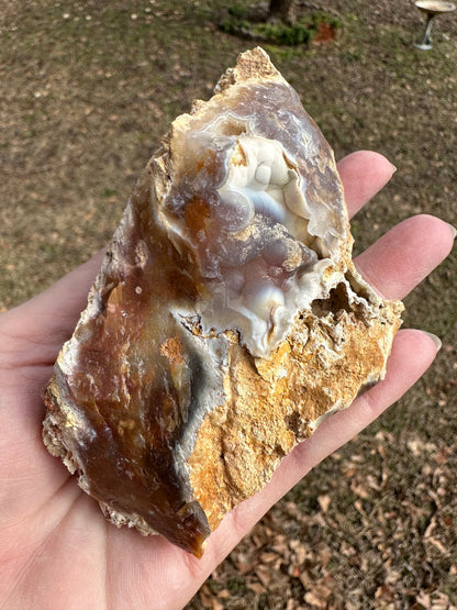 Savannah River Agate Specimen #51