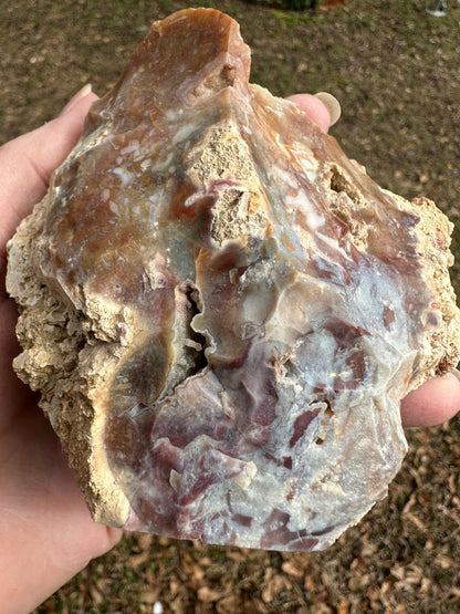 Savannah River Agate Specimen #52