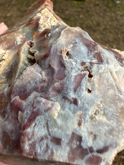 Savannah River Agate Specimen #52