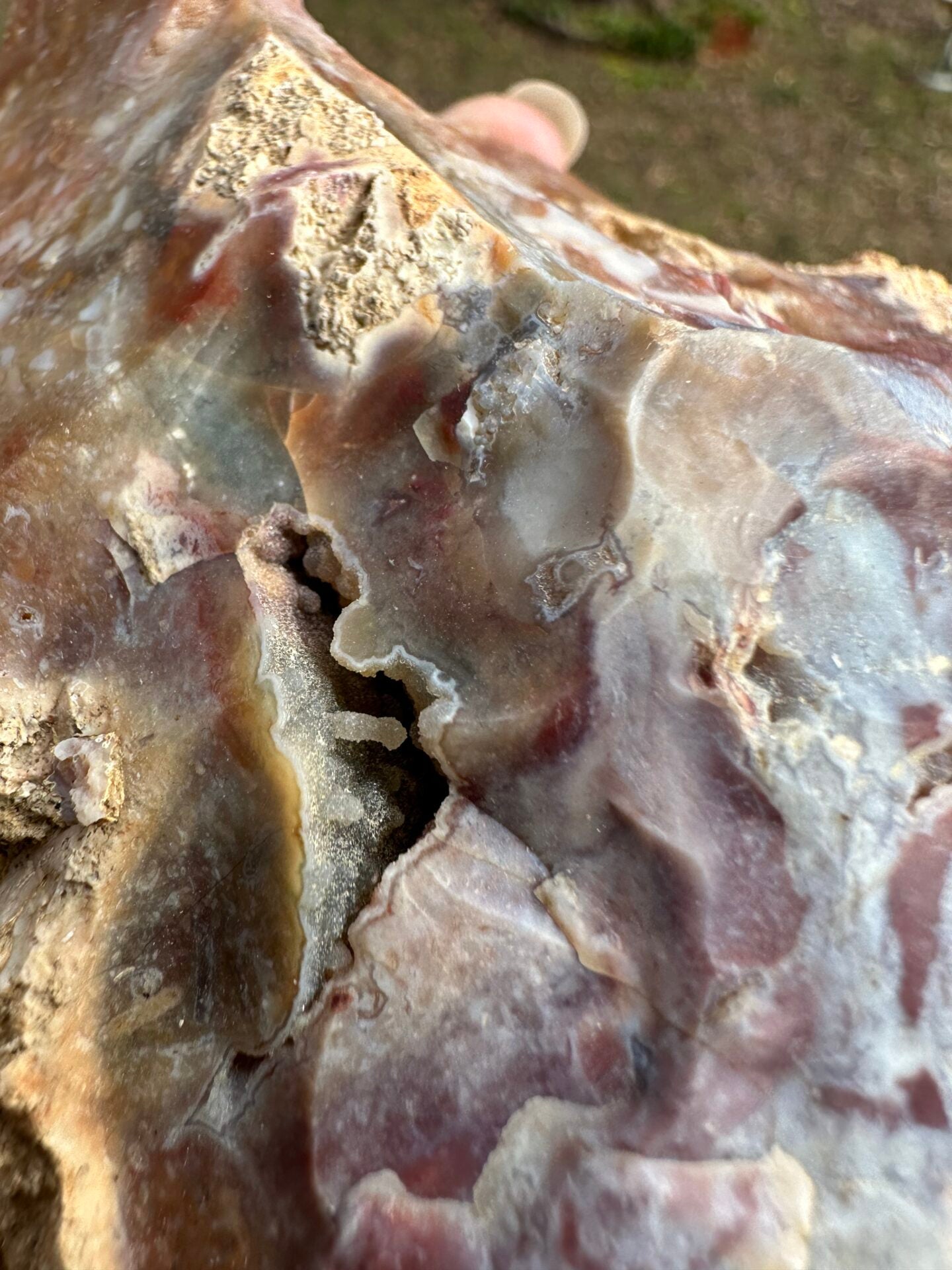 Savannah River Agate Specimen #52