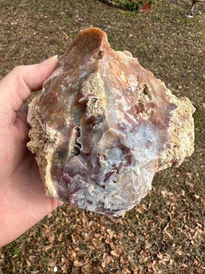 Savannah River Agate Specimen #52